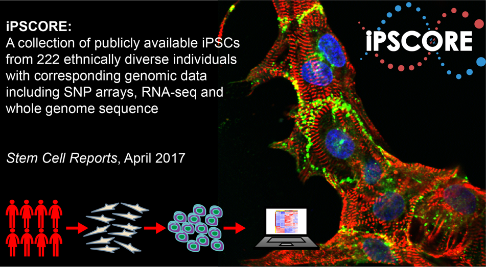 iPSCORE: A resource of 222 iPSC lines enabling functional characterization of genetic variation across a variety of cell types